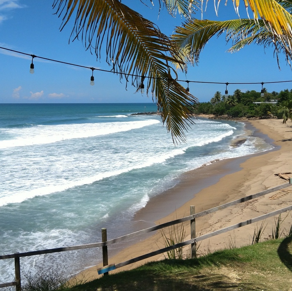 Meet your Posher, Zach